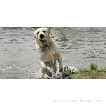 2014 The Newest Small Size Portable Dogs /Cats GPS Tracking Device, Longtime Battery, Anywhere Tk108